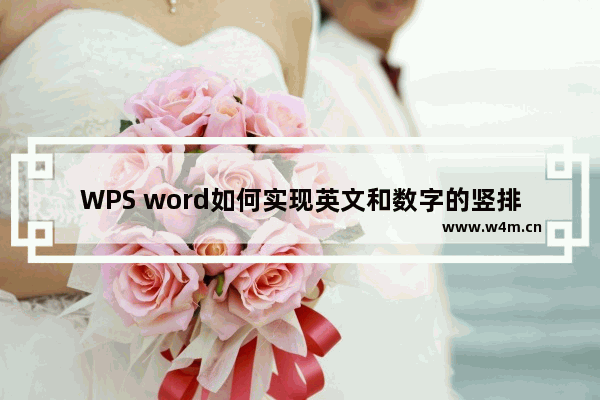 WPS word如何实现英文和数字的竖排