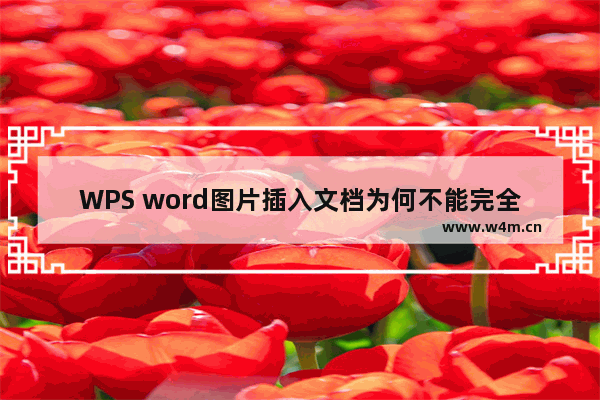 WPS word图片插入文档为何不能完全显示