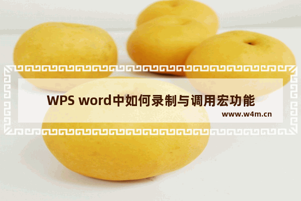 WPS word中如何录制与调用宏功能