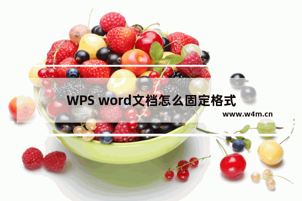 WPS word文档怎么固定格式