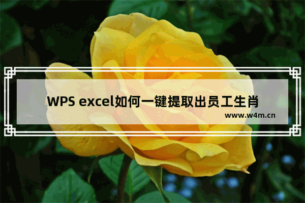 WPS excel如何一键提取出员工生肖