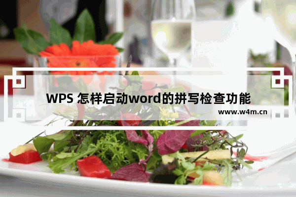 WPS 怎样启动word的拼写检查功能