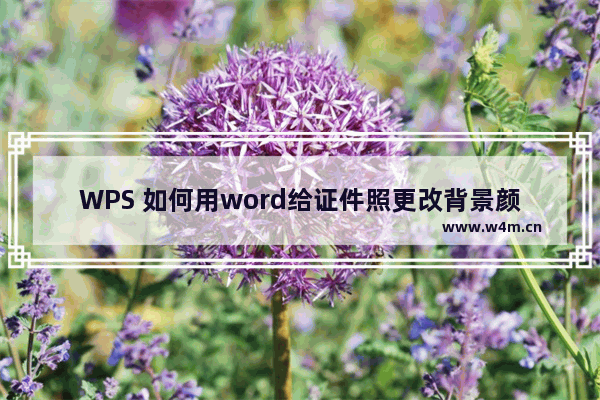 WPS 如何用word给证件照更改背景颜色