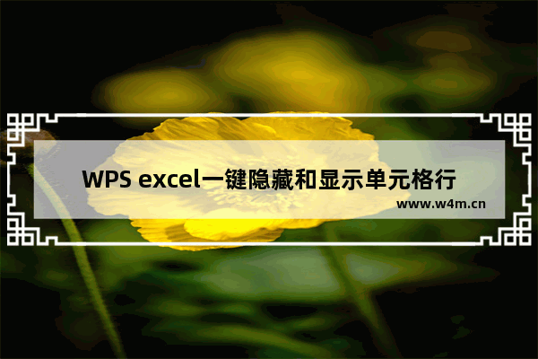 WPS excel一键隐藏和显示单元格行或列