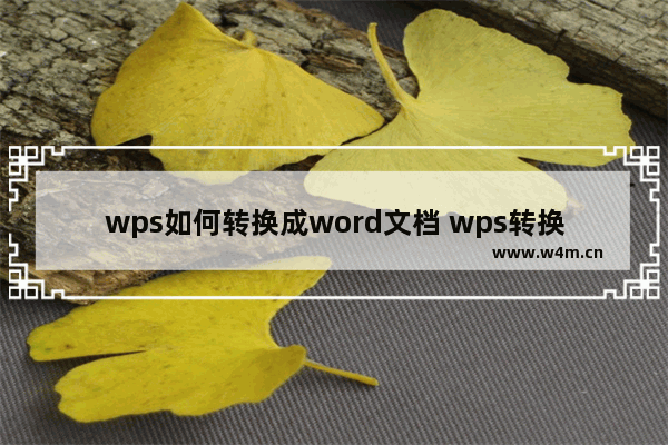 wps如何转换成word文档 wps转换成word两种简便方法介绍