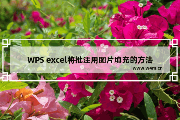 WPS excel将批注用图片填充的方法