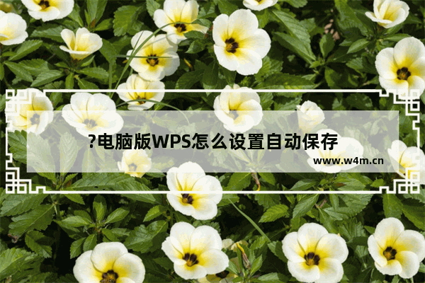 ?电脑版WPS怎么设置自动保存