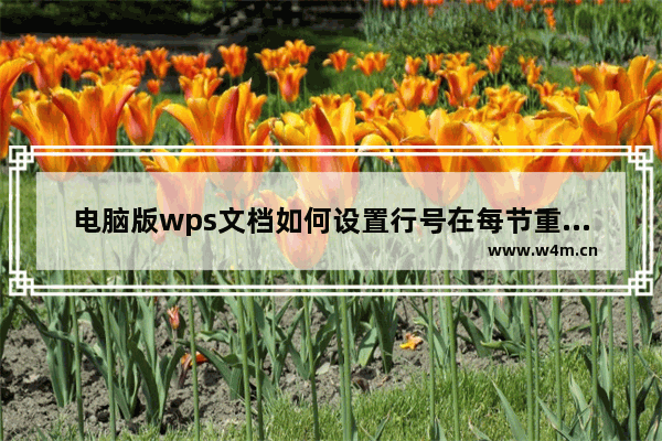 电脑版wps文档如何设置行号在每节重新编号