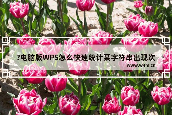 ?电脑版WPS怎么快速统计某字符串出现次数