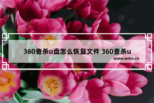 360查杀u盘怎么恢复文件 360查杀u盘病毒的方法