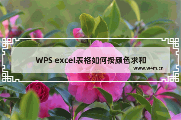 WPS excel表格如何按颜色求和