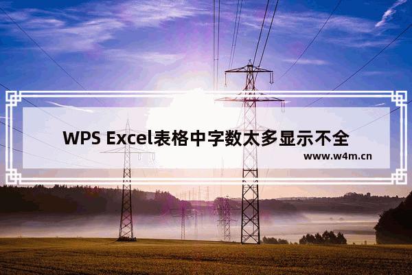 WPS Excel表格中字数太多显示不全怎么解决