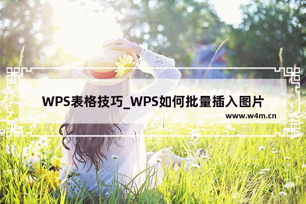 WPS表格技巧_WPS如何批量插入图片