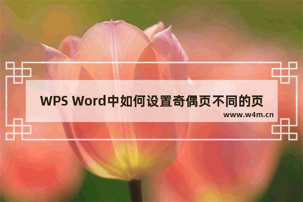 WPS Word中如何设置奇偶页不同的页眉页脚