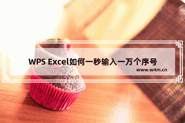 WPS Excel如何一秒输入一万个序号