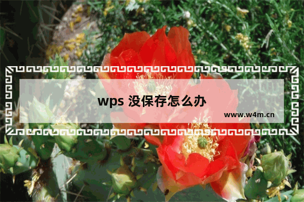 wps 没保存怎么办