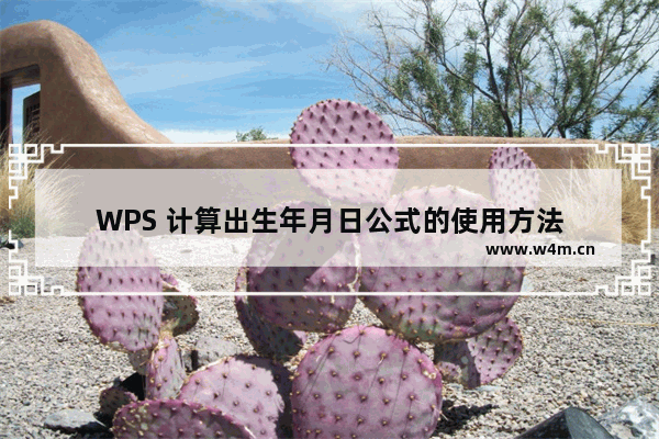 WPS 计算出生年月日公式的使用方法