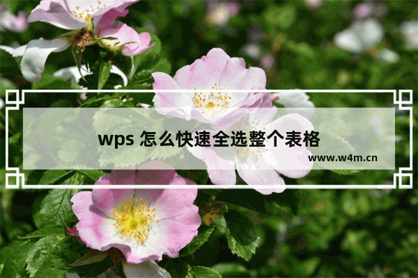 wps 怎么快速全选整个表格