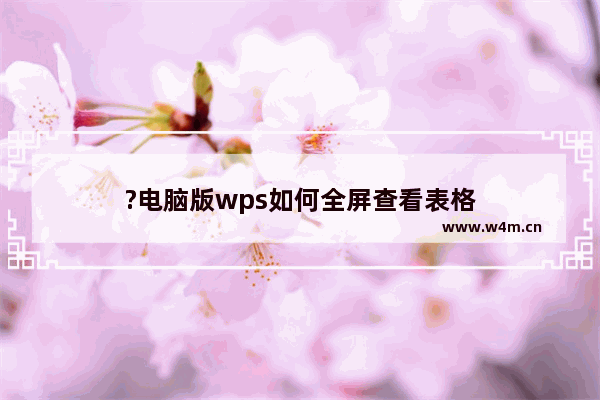 ?电脑版wps如何全屏查看表格