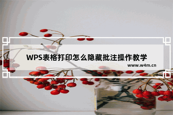 WPS表格打印怎么隐藏批注操作教学