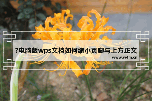 ?电脑版wps文档如何缩小页脚与上方正文的距离