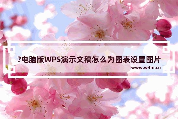 ?电脑版WPS演示文稿怎么为图表设置图片填充