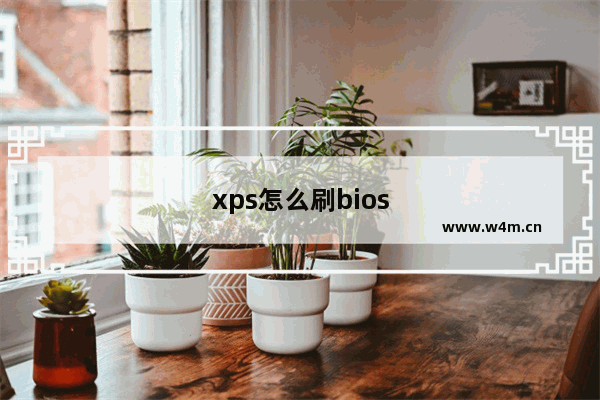 xps怎么刷bios