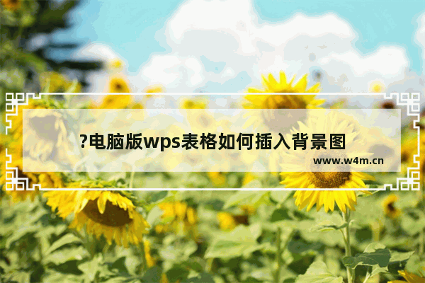 ?电脑版wps表格如何插入背景图