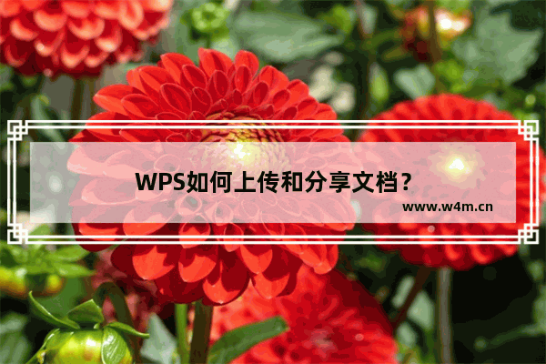 WPS如何上传和分享文档？