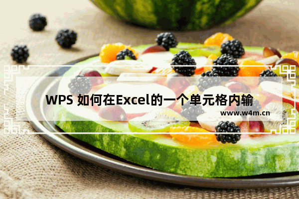 WPS 如何在Excel的一个单元格内输入两行或多行文字