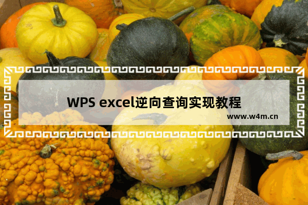 WPS excel逆向查询实现教程