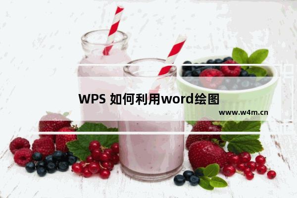 WPS 如何利用word绘图