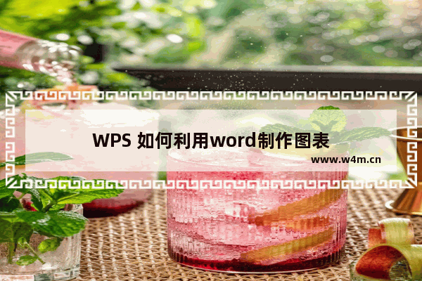 WPS 如何利用word制作图表