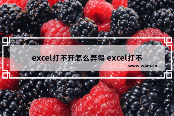 excel打不开怎么弄得 excel打不开怎么回事