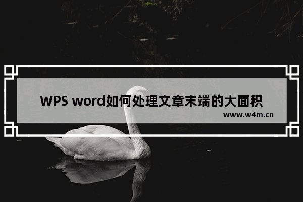 WPS word如何处理文章末端的大面积的空白