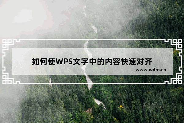 如何使WPS文字中的内容快速对齐