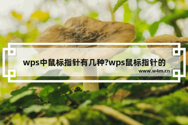 wps中鼠标指针有几种?wps鼠标指针的形状及含义