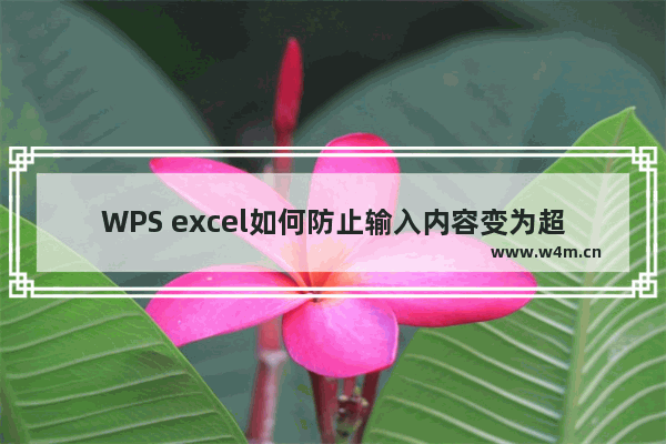 WPS excel如何防止输入内容变为超链接