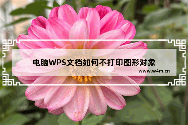 电脑WPS文档如何不打印图形对象