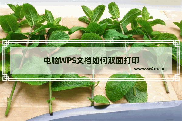 电脑WPS文档如何双面打印