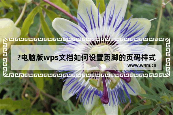 ?电脑版wps文档如何设置页脚的页码样式