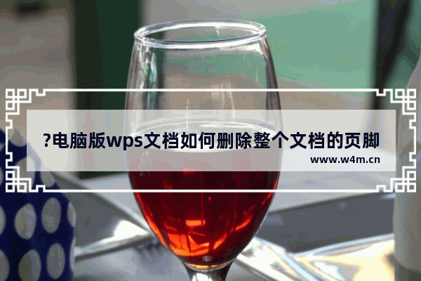 ?电脑版wps文档如何删除整个文档的页脚页码