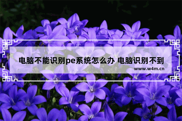 电脑不能识别pe系统怎么办 电脑识别不到pe