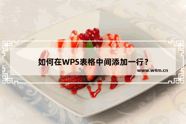 如何在WPS表格中间添加一行？