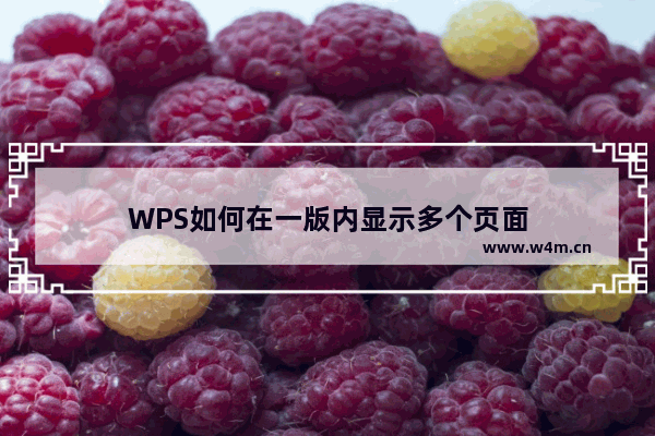 WPS如何在一版内显示多个页面