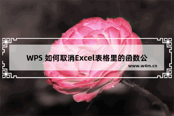 WPS 如何取消Excel表格里的函数公式