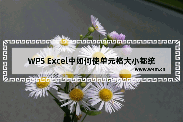 WPS Excel中如何使单元格大小都统一