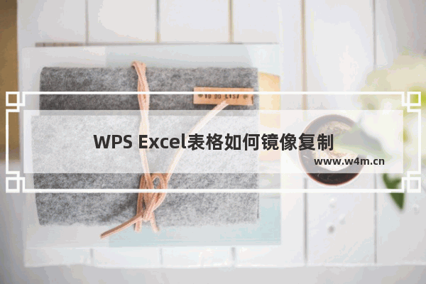 WPS Excel表格如何镜像复制