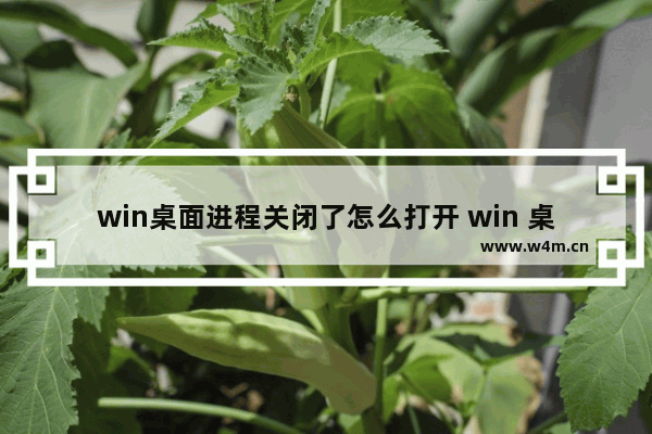 win桌面进程关闭了怎么打开 win 桌面进程