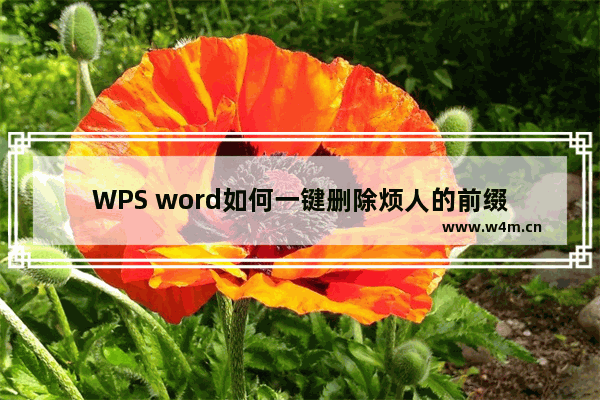 WPS word如何一键删除烦人的前缀